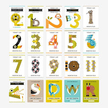 Load image into Gallery viewer, educational toys for kids