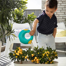 Load image into Gallery viewer, bath toys for kids